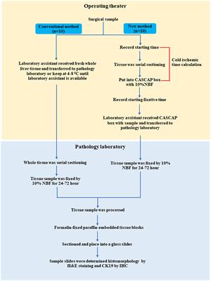 The Impact of Pre-analytical Quality Initiatives on Cholangiocarcinoma Diagnostics in Thailand